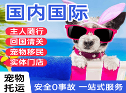 锦州湾机场物流国际宠物托运 【国